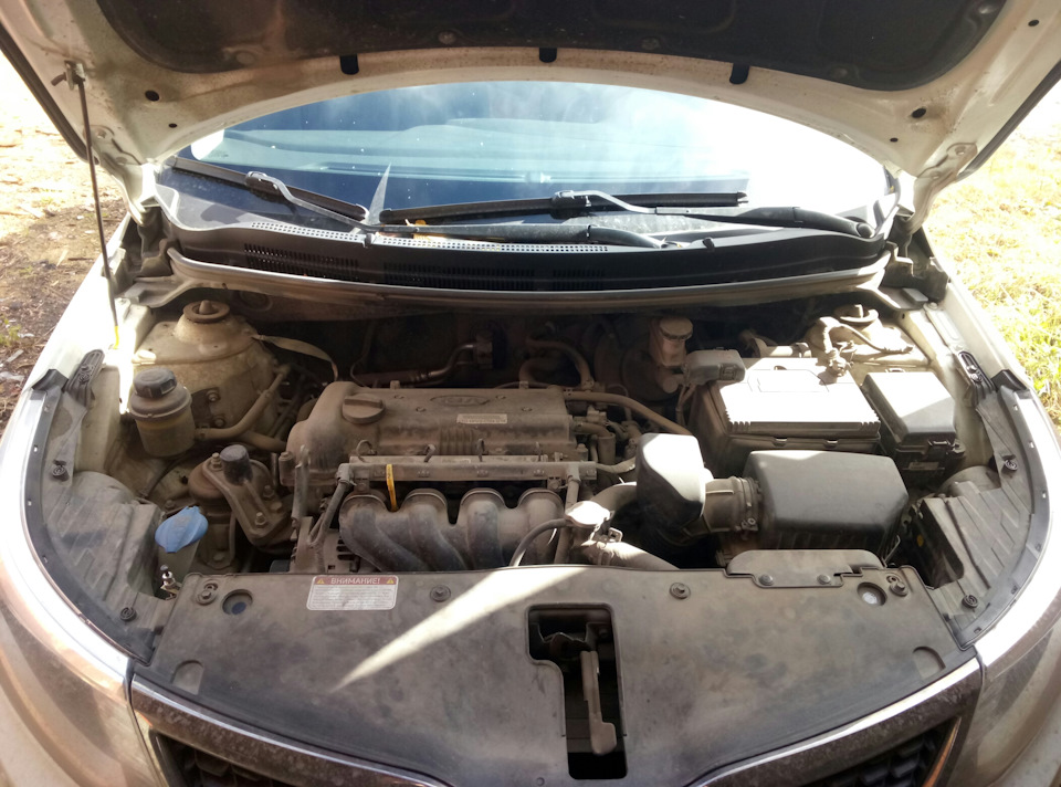 Мытье двигателя — KIA Rio 5-door (3G), 1,6 л, 2015 года | мойка | DRIVE2