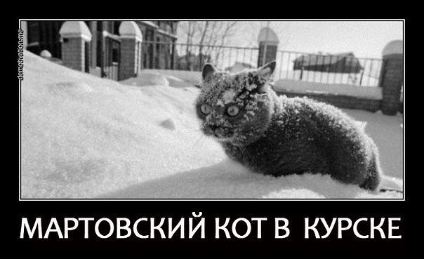 Мартовский кот