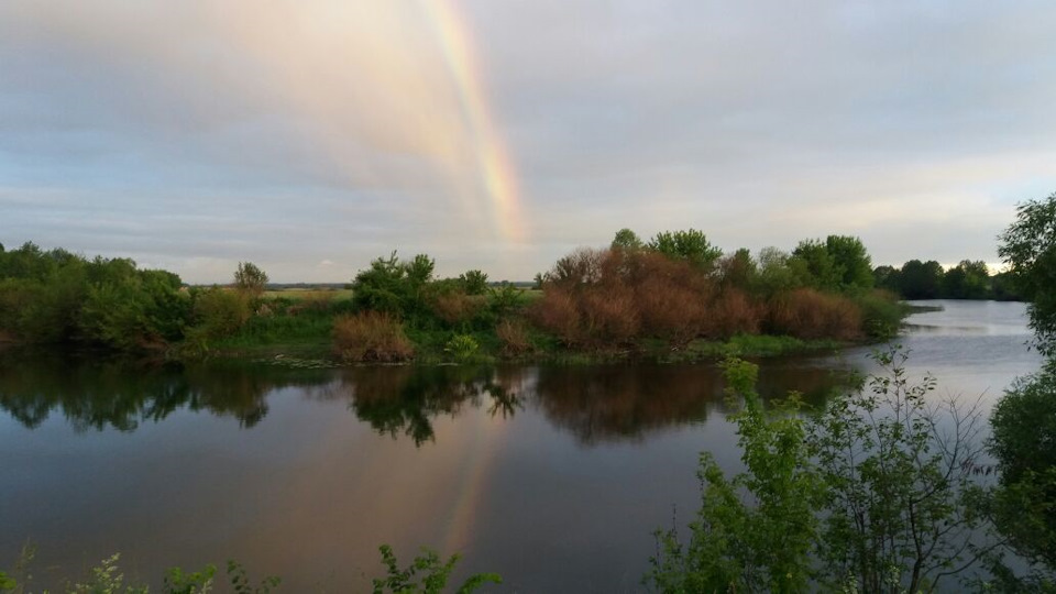 Фото в бортжурнале УАЗ Patriot