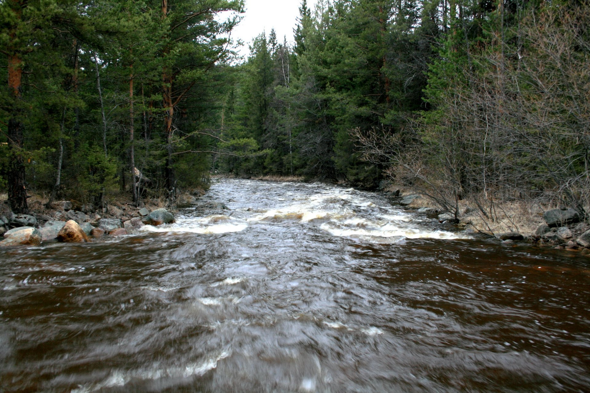 Река тургай