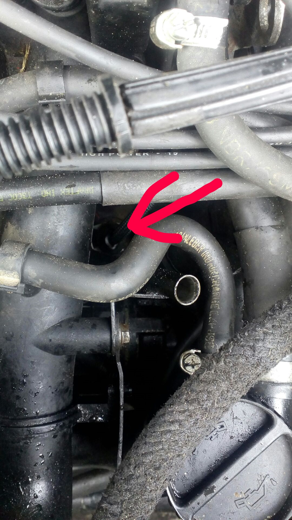 Пежо 806. Замерял давление в двигателе. Всё плохо(( — Peugeot 806, 2 л ...