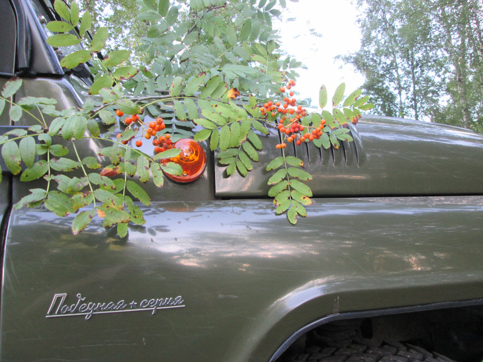 Фото в бортжурнале УАЗ 315195 Hunter