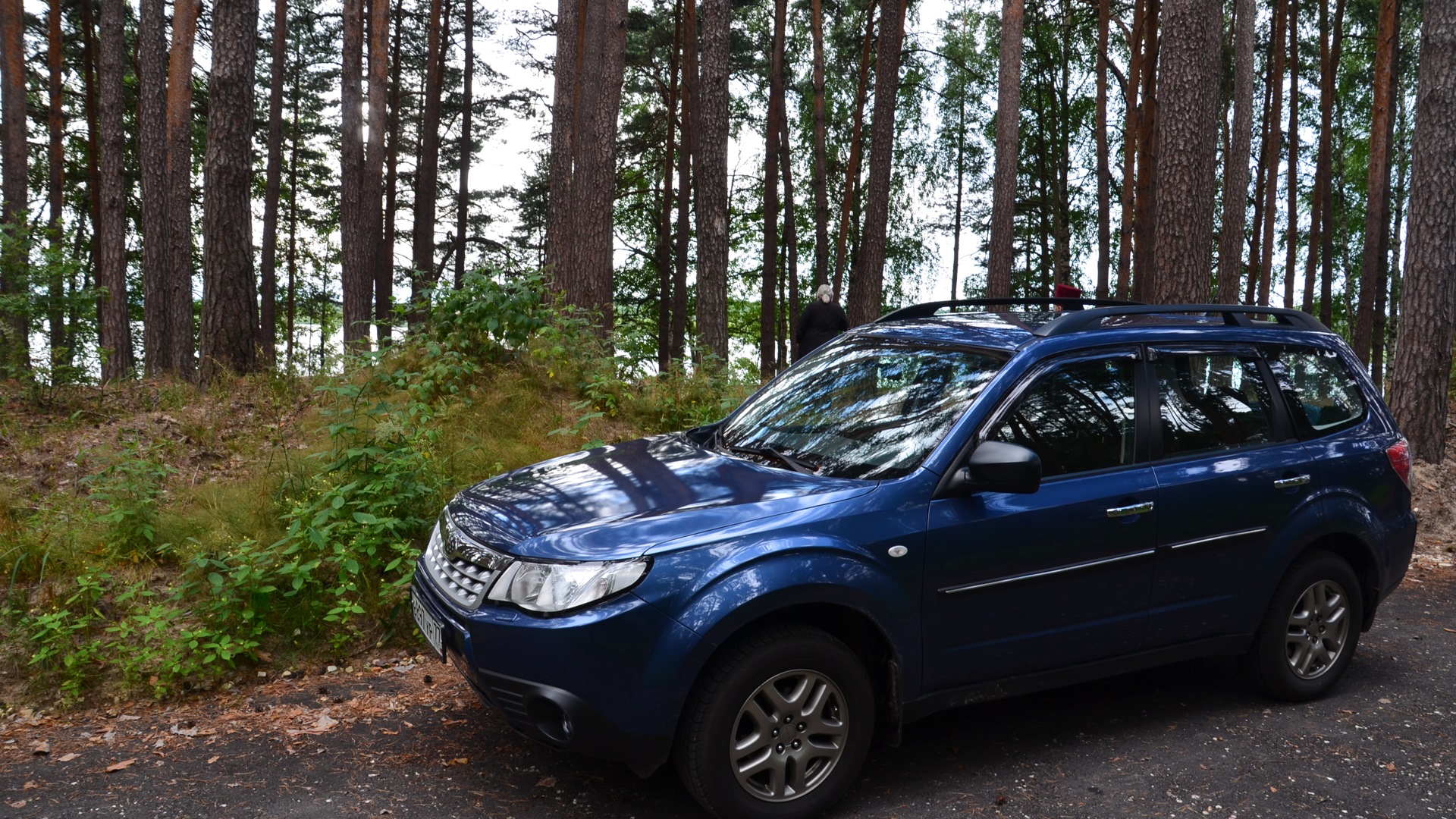 Subaru Forester (SH) 2.0 бензиновый 2012 | Оно на палке на DRIVE2