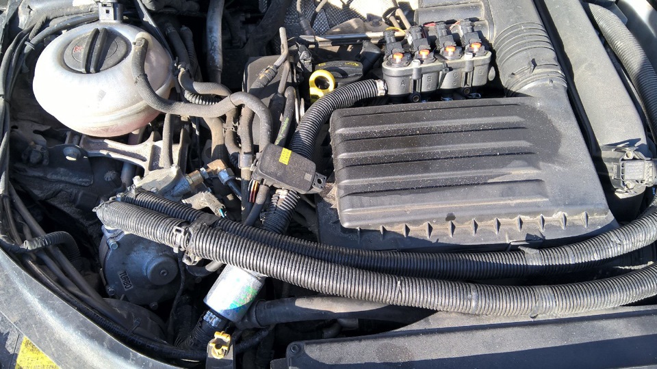 Фото в бортжурнале Skoda Octavia Combi A7 Mk3