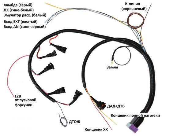 Invent jetronic 2 схема подключения