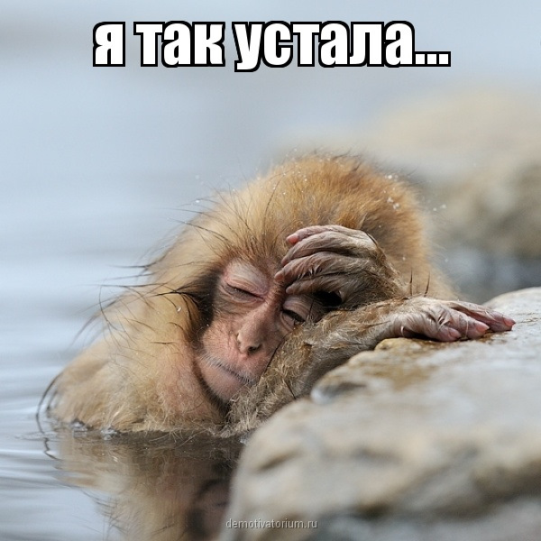 Прикольные картинки про работу и усталость, выходные дни прикольные