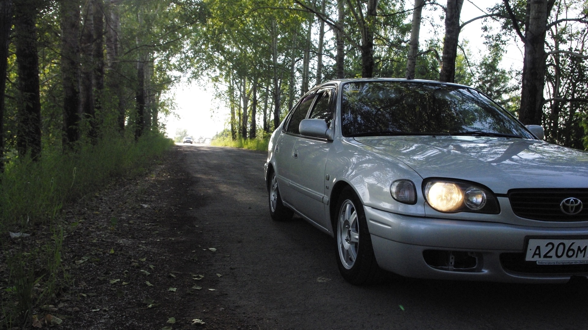 Toyota Corolla (110) 1.6 бензиновый 2000 | 