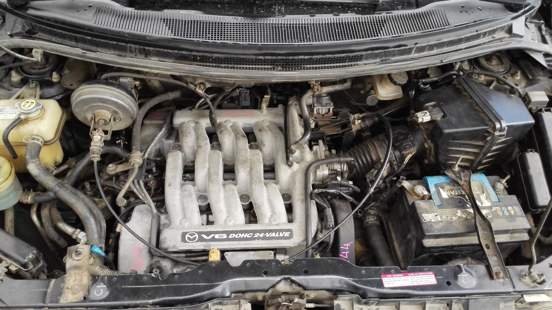 Двигатель мазда мпв бензин. Mazda MPV 2000 2.5 мотор. Мазда МПВ 2.5 2001г двигатель. Двигатель Мазда МПВ 2001г 2.0. Mazda MPV 3.2 двигатель.