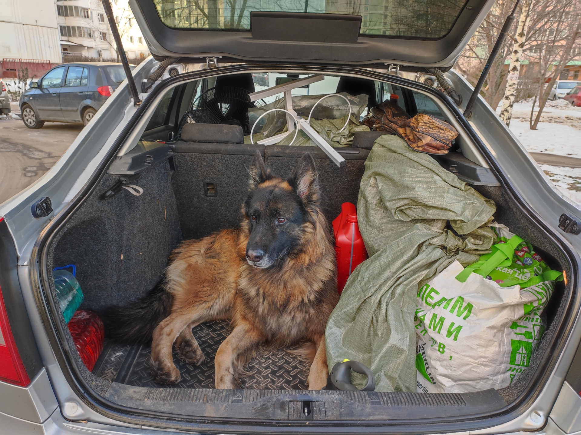 Первые приключения) — Skoda Octavia A5 Mk2, 1,8 л, 2012 года | поломка ...