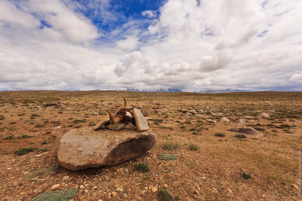 Фото в бортжурнале Land Rover Defender (L315/L316)