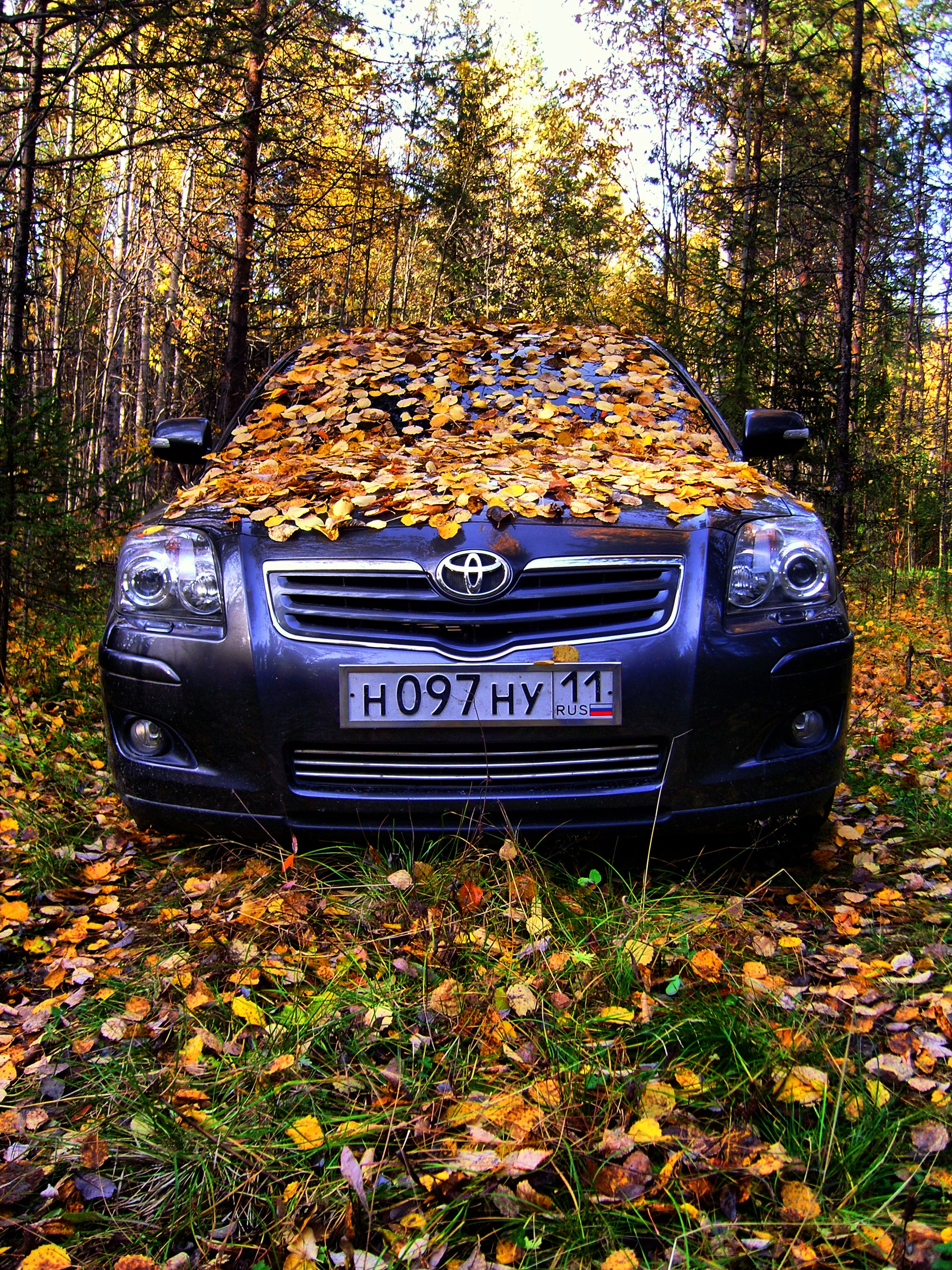       Toyota Avensis 20 2008