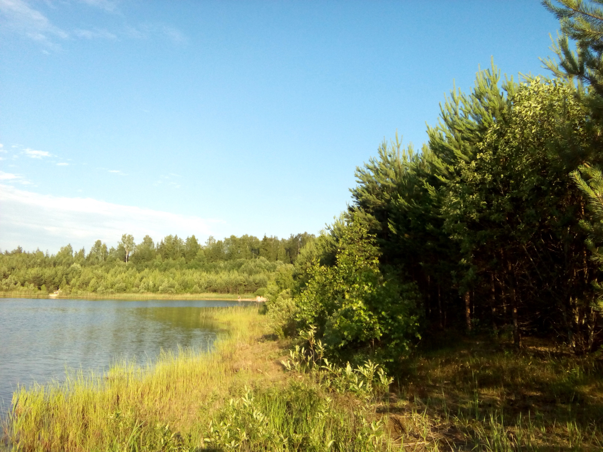Сасовское озера Лужского района