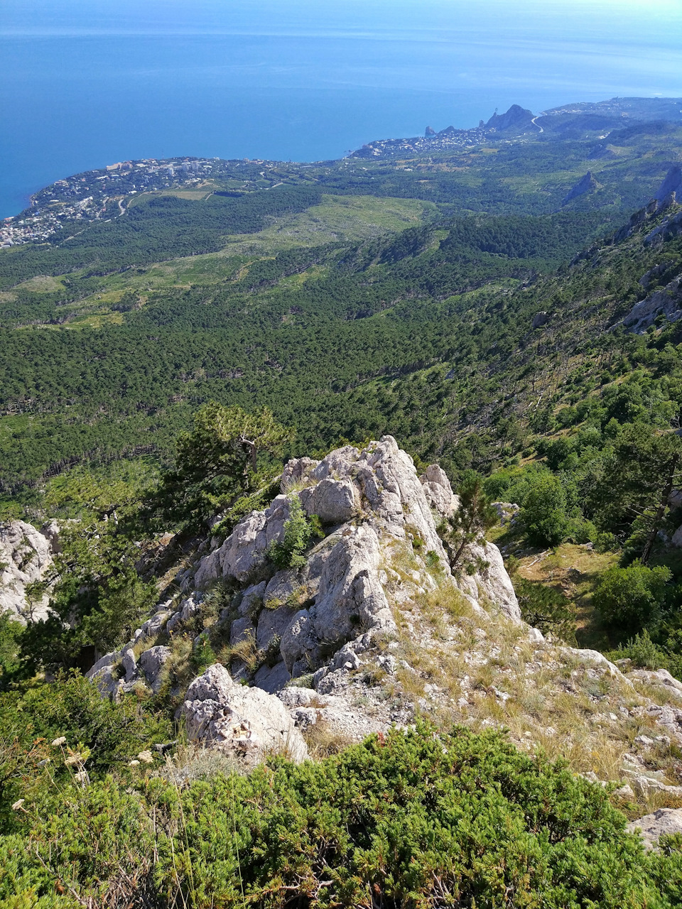 Фото в бортжурнале Audi A5 (1G)