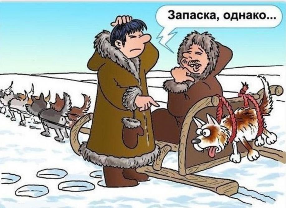 Поздравление, прикольные картинки о севере
