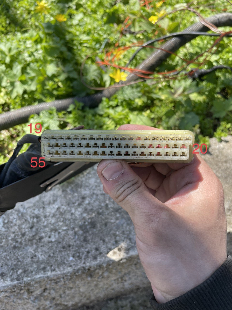 Не заводится (заметка) — Iveco Daily (2G), 2,5 л, 1996 года | поломка ...