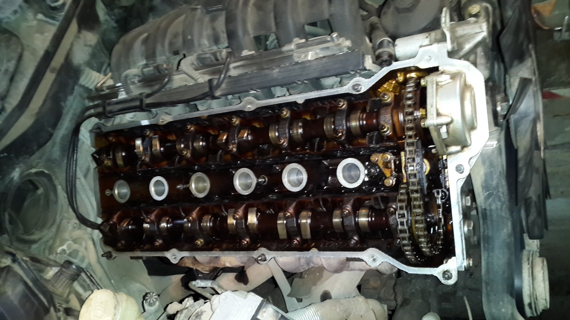 прокладка клапанной крышки бмв е39. прокладка клапанной крышки бмв е39. прокладка клапанной крышки бмв е39. прокладка клапанной крышки бмв е39. клапанные крышки прокладки м62.