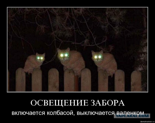 туши свет фото приколы представляет собой
