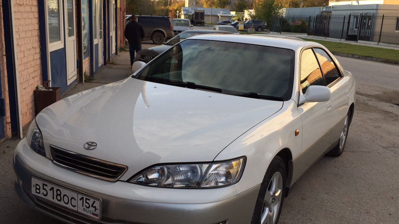 Toyota Windom (20) 3.0 бензиновый 2000 | Машина жены на DRIVE2