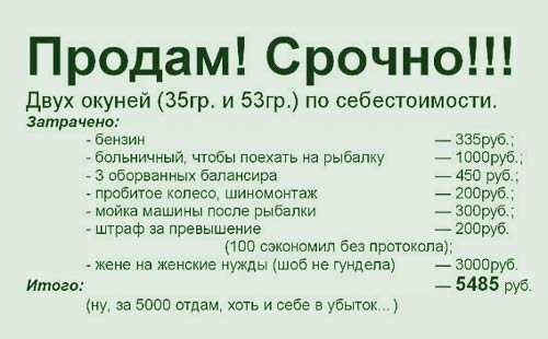 Конечно 300. Объявление продам двух окуней 35гр.