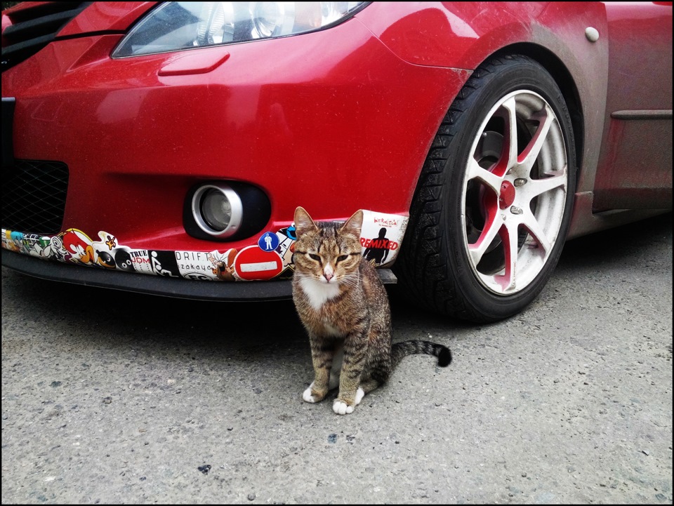 Переход на мотюль или есть ли разница — Mazda 3 (1G) BK, 2 л, 2005 года ...