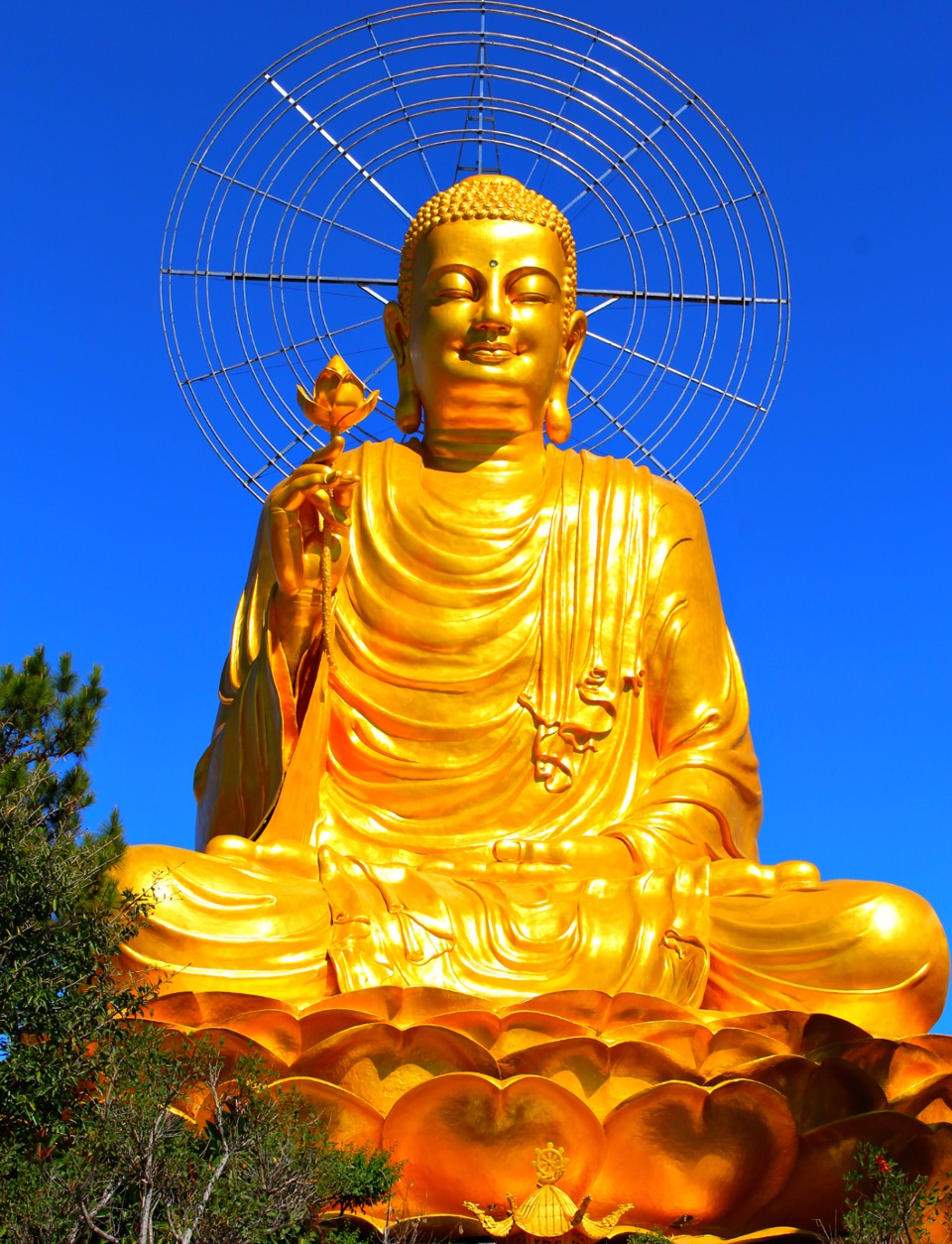 Buddha ростов