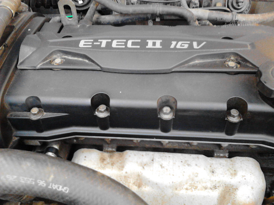 Прокладка Виктор Райнз — Chevrolet Lacetti SW, 1,6 л, 2011 года ...