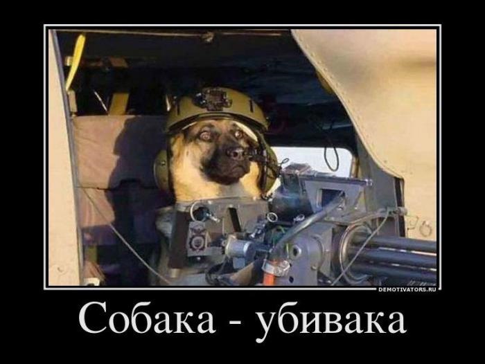 Собака с миниганом мем