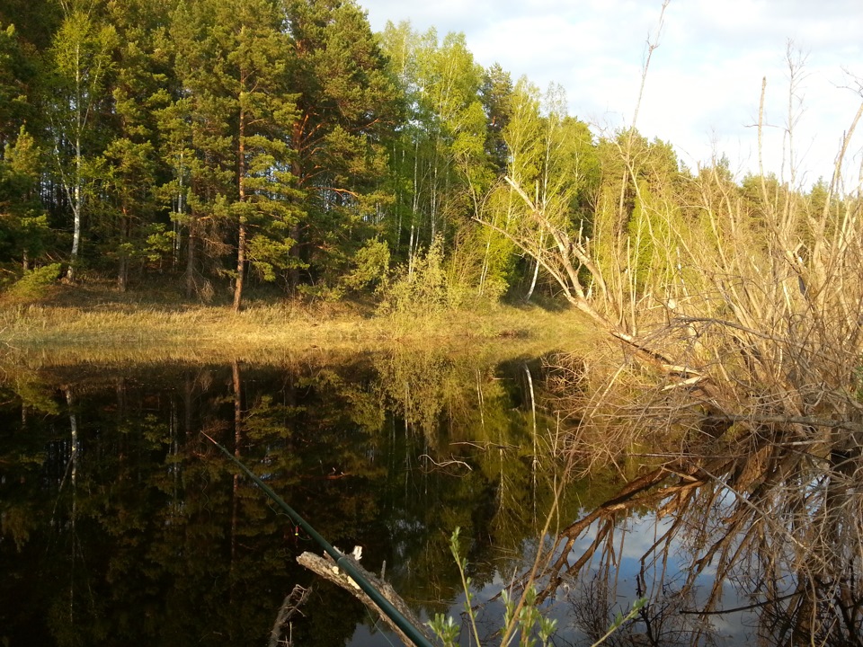 рыба карась игра началась молчи. Смотреть фото рыба карась игра началась молчи. Смотреть картинку рыба карась игра началась молчи. Картинка про рыба карась игра началась молчи. Фото рыба карась игра началась молчи рыба карась игра началась молчи. Смотреть фото рыба карась игра началась молчи. Смотреть картинку рыба карась игра началась молчи. Картинка про рыба карась игра началась молчи. Фото рыба карась игра началась молчи