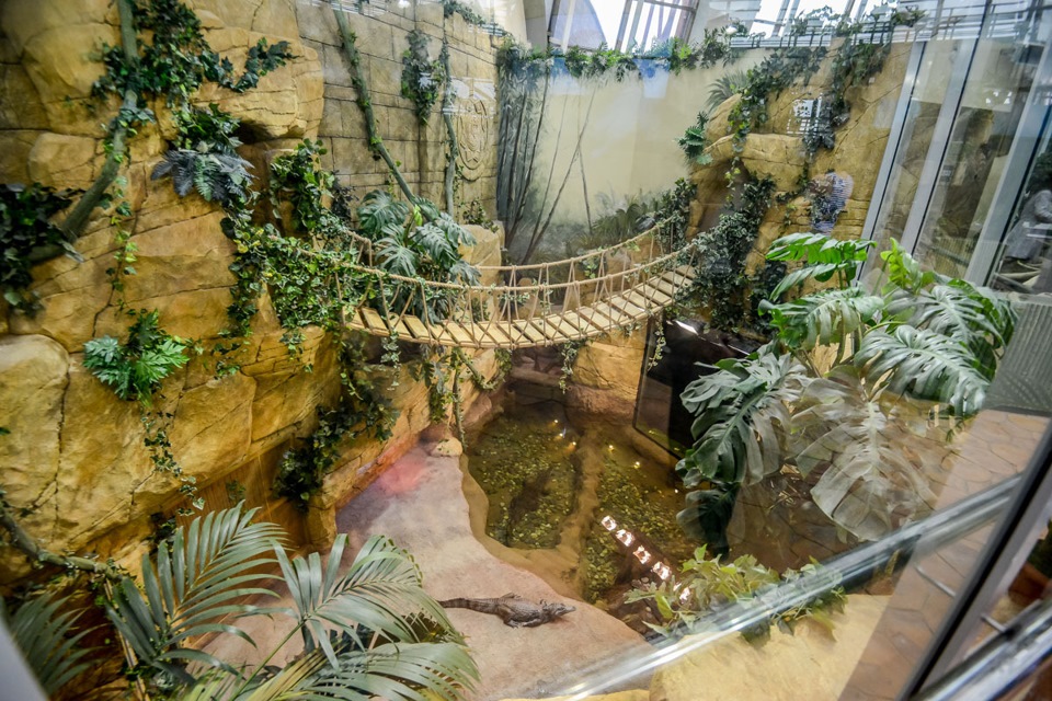 Зоопарк фото террариум