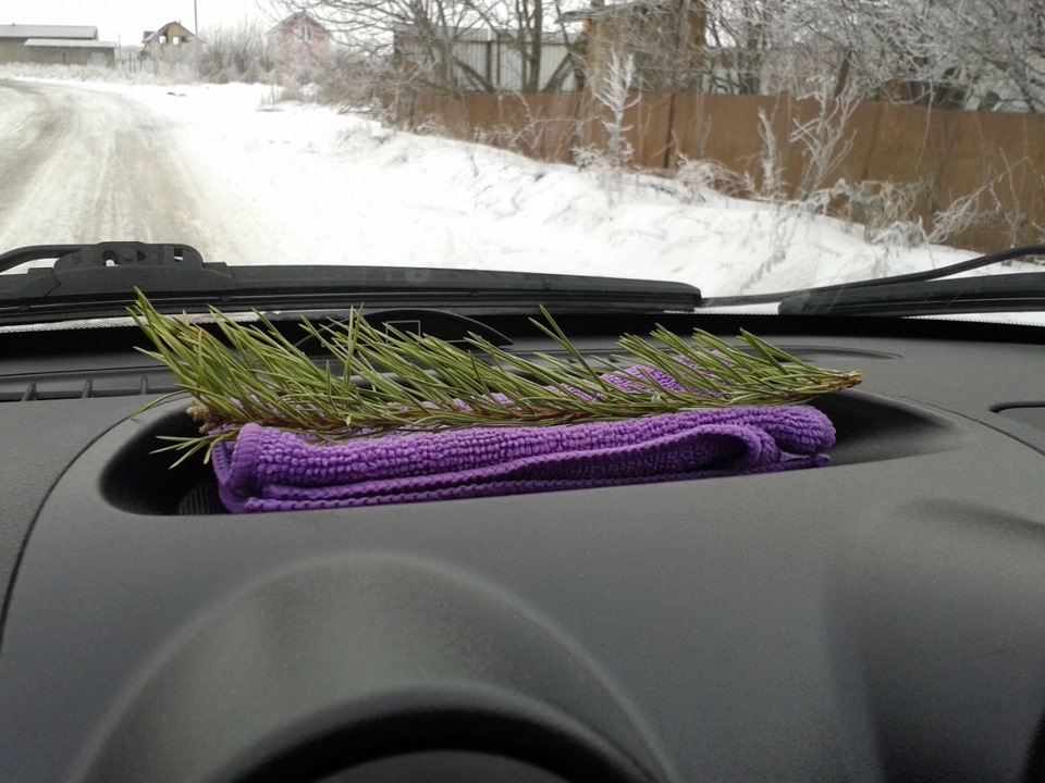 Вонючка — DRIVE2