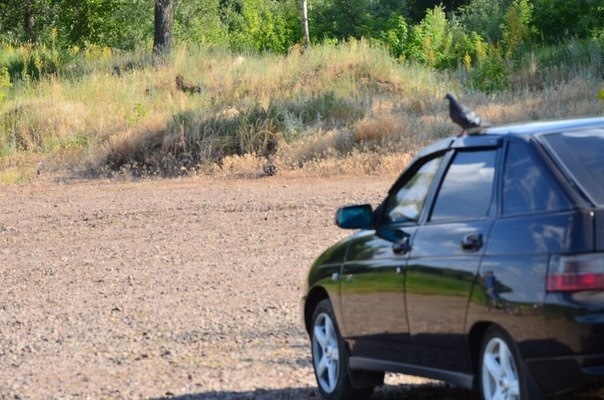 какие стойки лучше на ваз 2112 с занижением. Смотреть фото какие стойки лучше на ваз 2112 с занижением. Смотреть картинку какие стойки лучше на ваз 2112 с занижением. Картинка про какие стойки лучше на ваз 2112 с занижением. Фото какие стойки лучше на ваз 2112 с занижением какие стойки лучше на ваз 2112 с занижением. Смотреть фото какие стойки лучше на ваз 2112 с занижением. Смотреть картинку какие стойки лучше на ваз 2112 с занижением. Картинка про какие стойки лучше на ваз 2112 с занижением. Фото какие стойки лучше на ваз 2112 с занижением