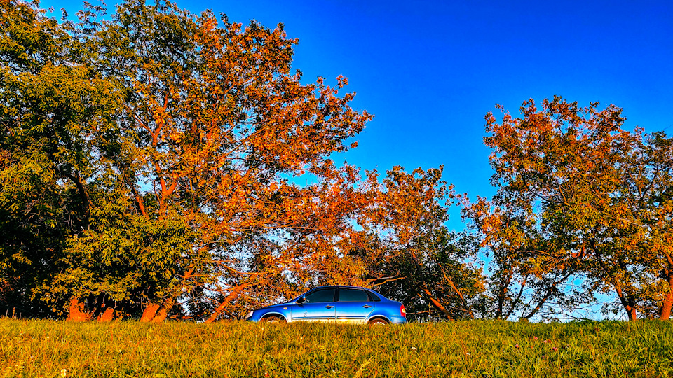 Продам распредвал — Lada Калина седан, 1,6 л, 2007 года | запчасти | DRIVE2