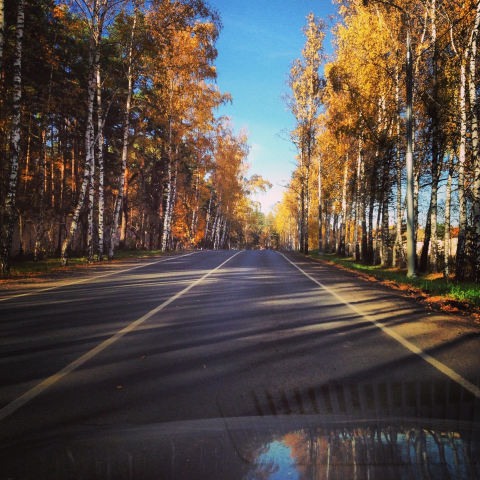 Пробило крышку масл фильтра. Замена свечей. — Opel Vectra C, 2,2 л ...