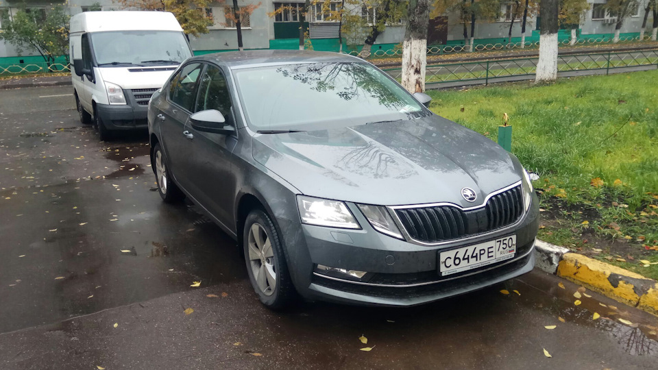 Шкода авито. Шкода а7 серая. Октавия а7 Grey. Škoda Octavia a7 серая.