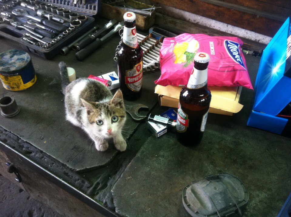 Установка ксенона в противотуманки — Mercedes-Benz E-class (W210), 3,2 ...