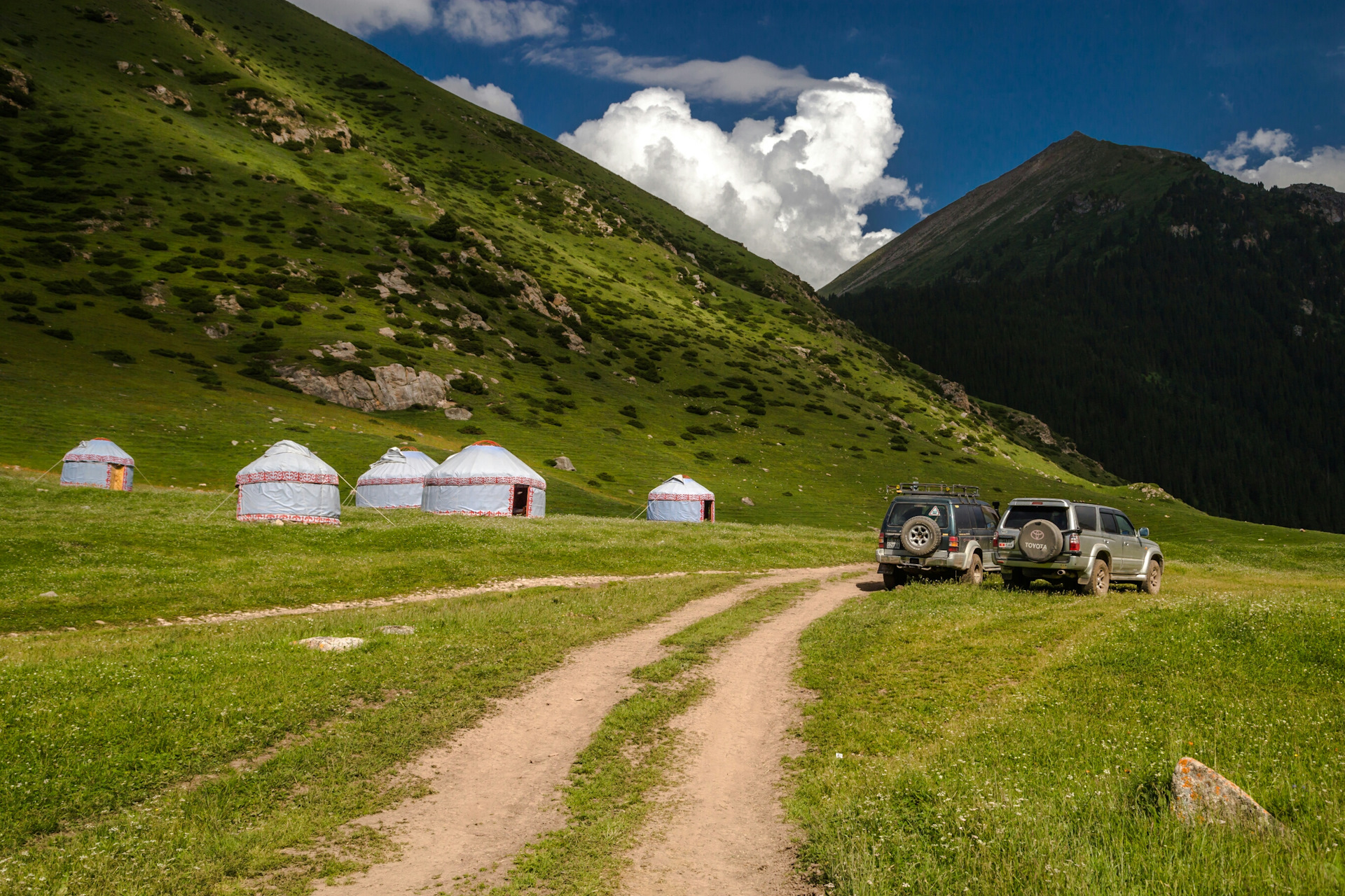 Алтын арашан киргизия фото