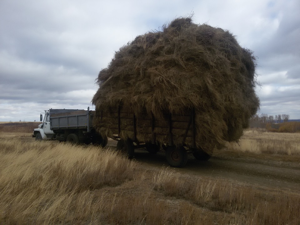 Купить Сеновозку В Забайкальском Крае