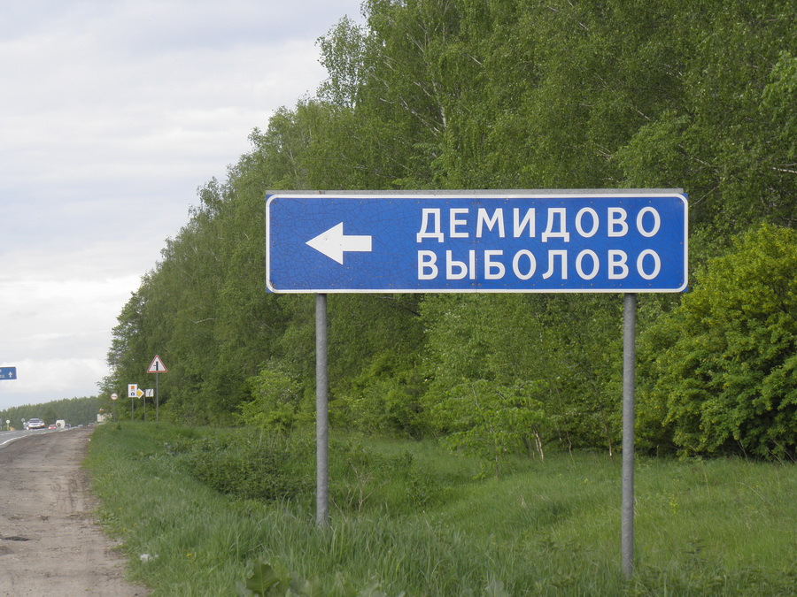 Выболово богородский район карта