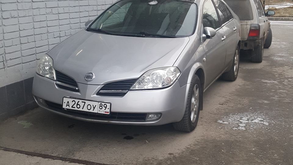 Ниссан примера хабаровск. Nissan primera p12 2.0 CVT. Ниссан примера бежевый. Ниссан примера в Старом кузове. Ниссан примера на колпаках.