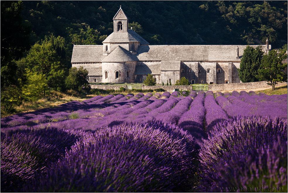 День в провансе. Аббатство Сенанк. Аббатство Сенанк архитектура. Provence Alpes Cote d'Azur Франция. Provence Alpes Cote d'Azur Лаванда.