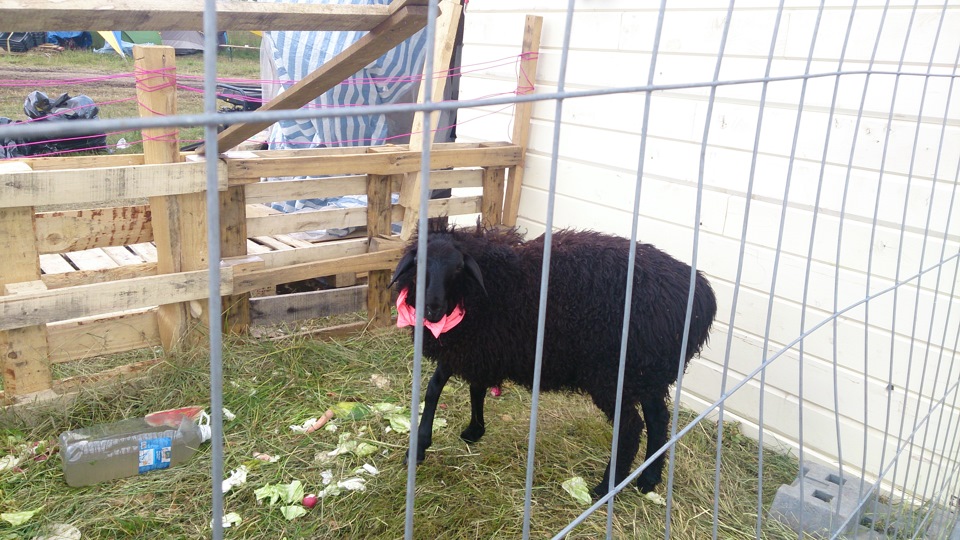 НАШЕСТВИЕ — день третий — Skoda Yeti, 1,2 л, 2013 года | путешествие ...