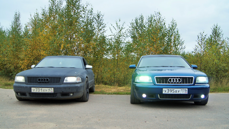 Обслуживание audi а8(d3)