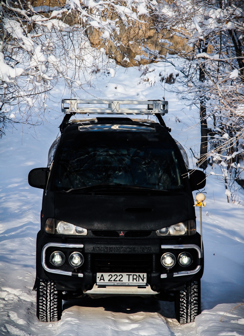 Фото делика сугроб