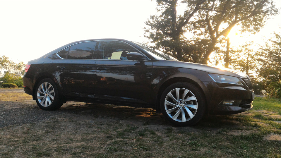 Толщина лакокрасочного покрытия — Skoda Superb Mk3, 1,8 л, 2015 года ...