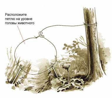 Как в лесу сделать верёвку в Как в лесу сделать верёвку в