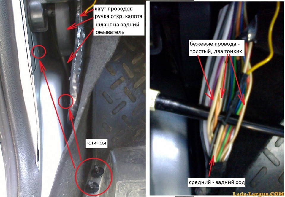 Где находится шнуров. Провода поворотников Рено Логан 1. Провод заднего хода Ларгус. Какого цвета провод задний ход на Ларгус. Проводка заднего фонаря Ларгус.