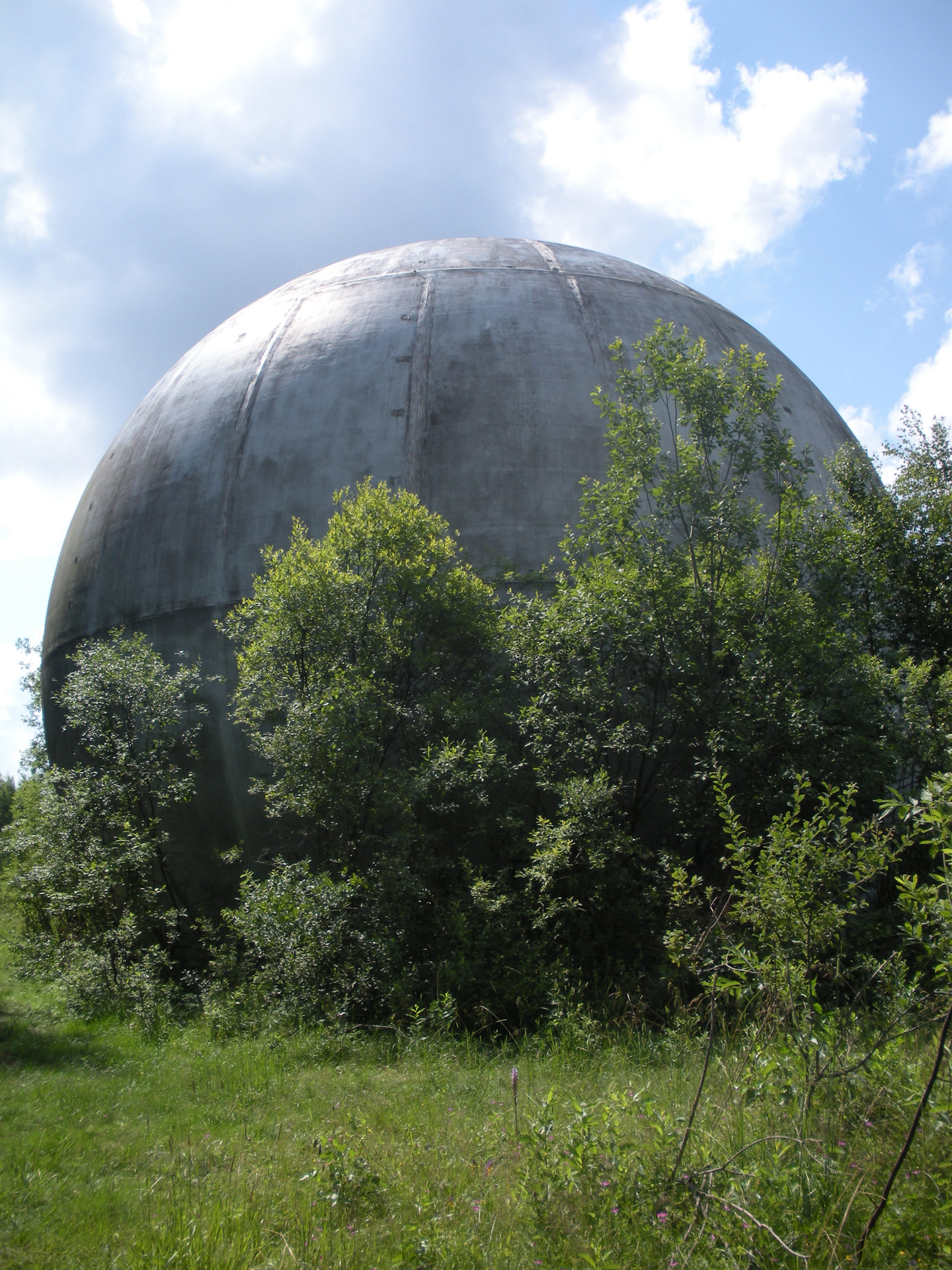 шар купол дубна. мистический шар дубна. дубна шар в лесу. дубна заброшенный шар. радиопрозрачный купол дубна.