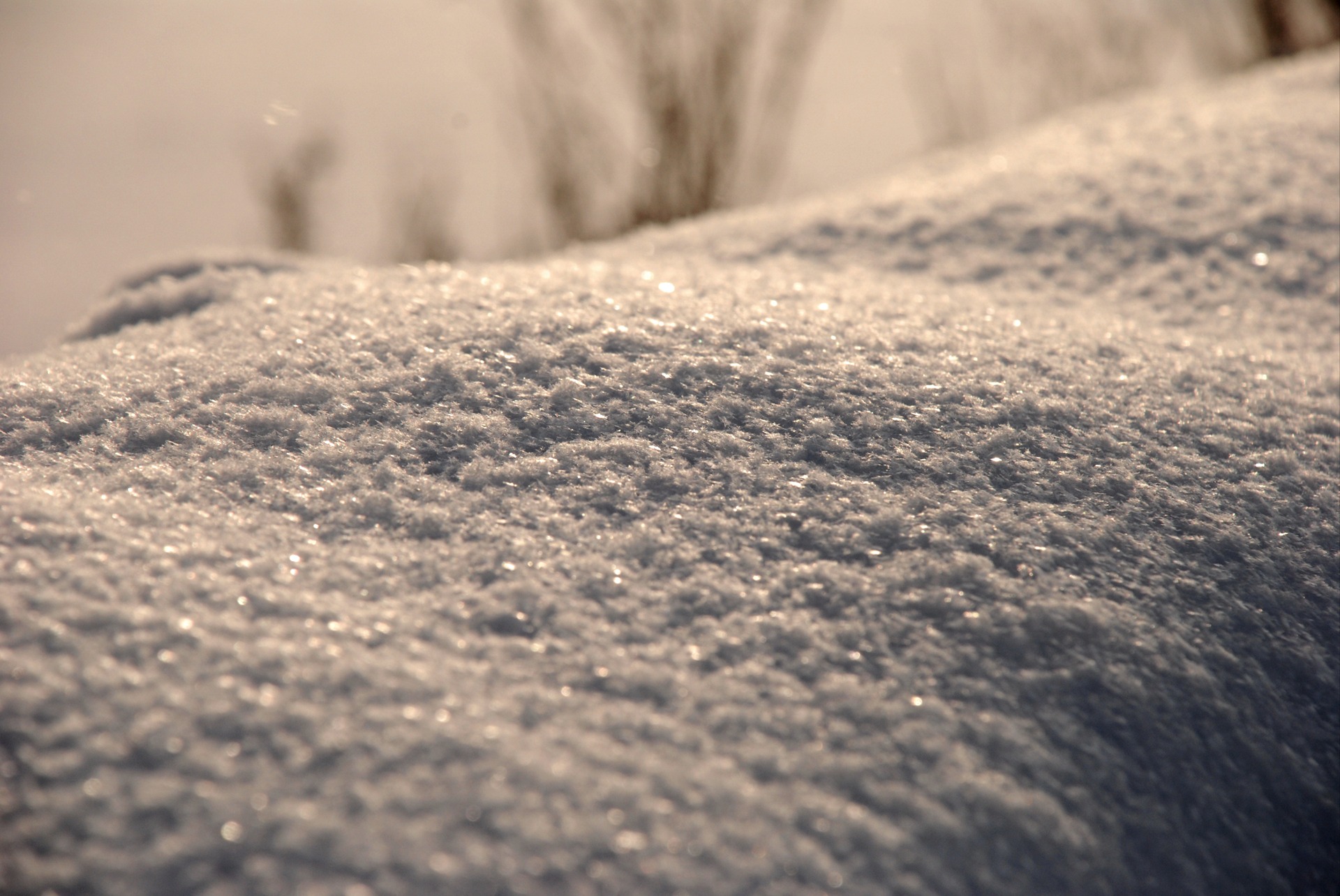 сообщество снега