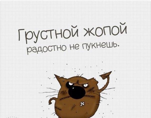 Dme dde что это. Смотреть фото Dme dde что это. Смотреть картинку Dme dde что это. Картинка про Dme dde что это. Фото Dme dde что это