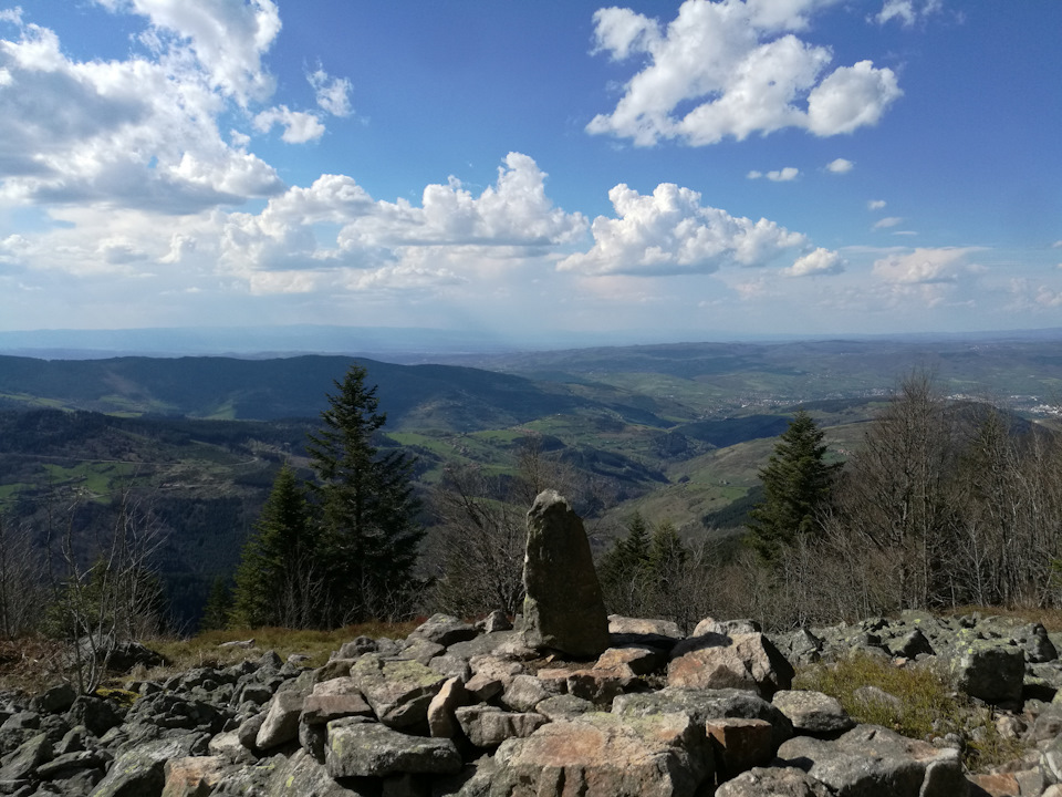 Фото в бортжурнале Audi A4 (B9)